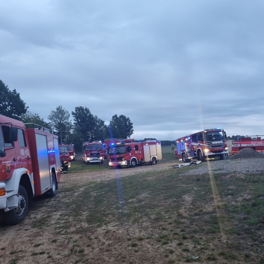 Ogromny pożar w chlewni w gminie Czarna Dąbrówka (1.09.2022). Aż 400 prosiaków nie przeżyło. Straty to 1,5 mln zł | ZDJĘCIA