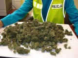 Jarosław: Policjanci ujawnili ponad kilogram marihuany