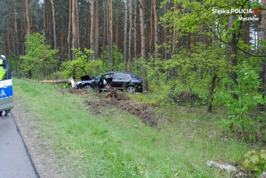 Pijana 39-latka wjechała w drzewo w Poraju [ZDJĘCIA] Towarzyszył jej równie pijany pasażer. Obydwoje mieli trzy promile