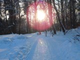 Wałbrzych: Park w dzielnicy Rusinowa zimą. Zobaczcie jak tam pięknie