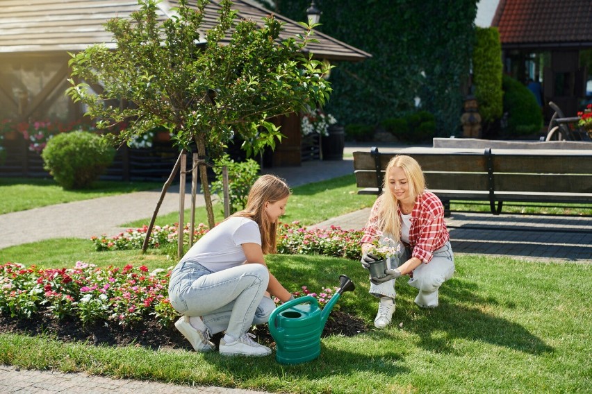 Zadbaj o dom i ogród na wiosnę. Te firmy zadbają o twoje wnętrza i otaczającą cię przestrzeń