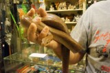 Policja szuka właściciela tęczowego węża boa