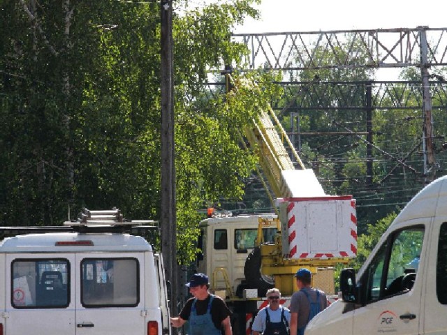 Pracownicy zakładu energetycznego przycinali w czwartek przy kieleckiej ulicy Przejazd niektóre gałęzie. Na małym zdjęciu - Drzewa rosną bardzo blisko słupów i ich gałęzie zahaczają o kable.