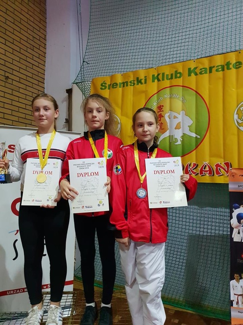 Reprezentanci Pleszewskiego Klubu Karate zakończyli starty w 2018 roku z 15 medalami 