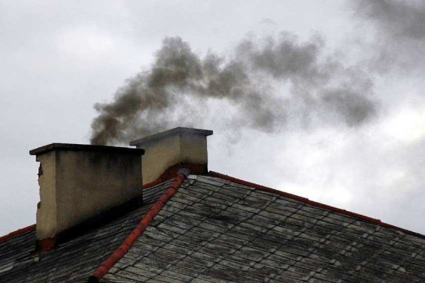 W Pruszczu Gd. można śledzić zanieczyszczenie powietrza. Czy stan powietrza w mieście jest dobry?