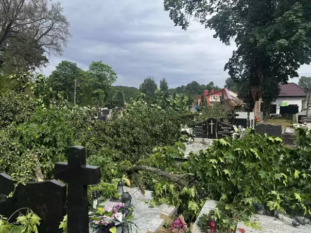 Znaczne zniszczenia na cmentarzu parafialnym w Złotym Potoku. 

Zobacz kolejne zdjęcia. Przesuwaj zdjęcia w prawo - naciśnij strzałkę lub przycisk NASTĘPNE