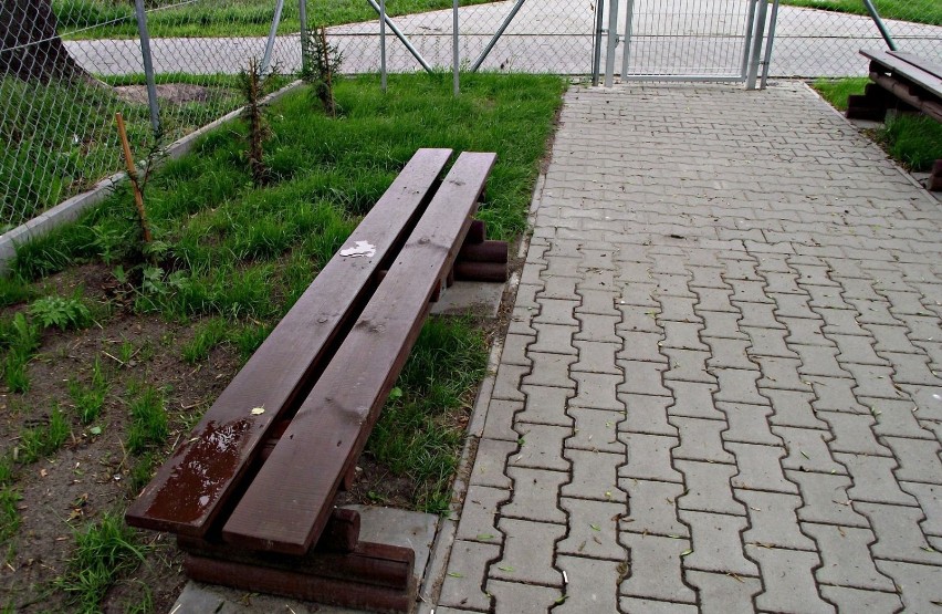 Wszystko otoczone zielenią.
Fot. Dorota Michalczak