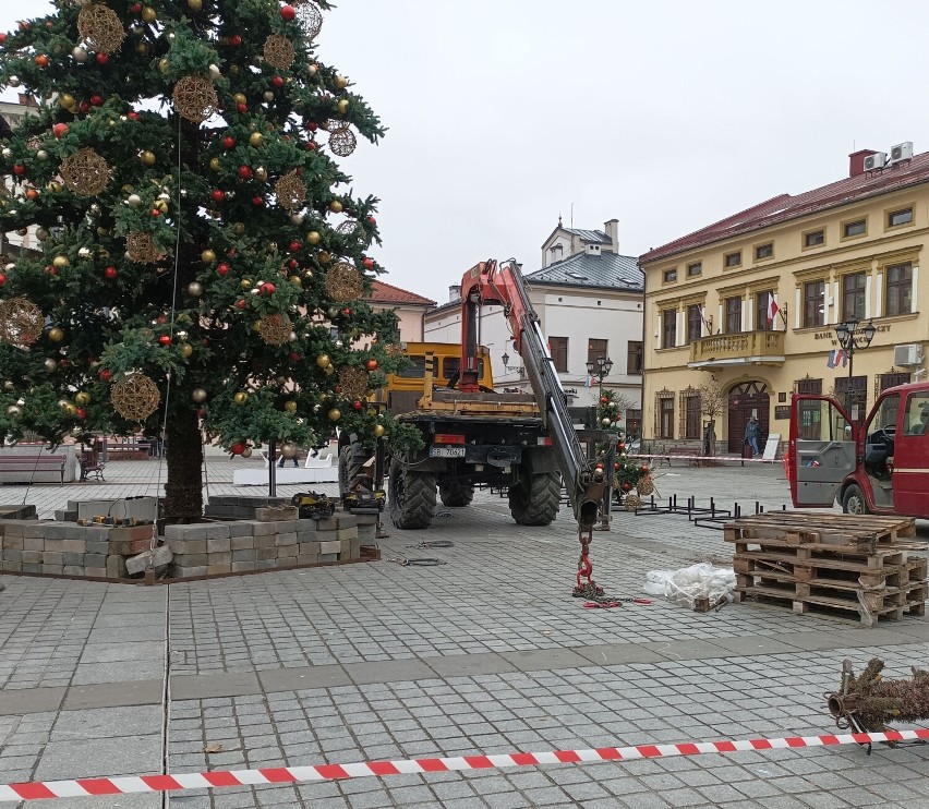 Świąteczna choinka pojawiła się na żywieckim rynku