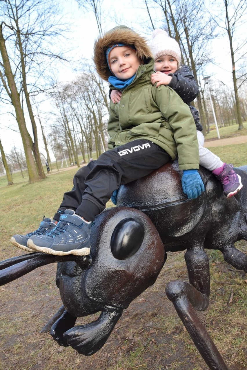 Park Mickiewicza w Sieradzu został odnowiony. Po rewitalizacji sieradzanie mają kolejne miejsce rekreacji