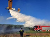 Ależ to był nalot! Wspólnymi siłami, lotnicy i strażacy, błyskawicznie ugasili pożar lasu w okolicach Murzynowa