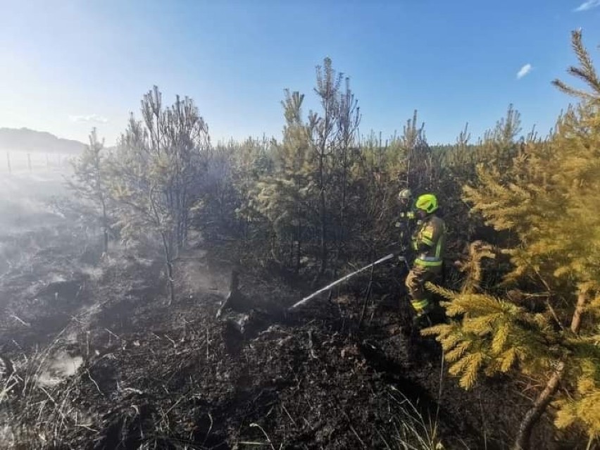 Dzięki użyciu samolotów gaśniczych i ciężkiego sprzętu pożar...