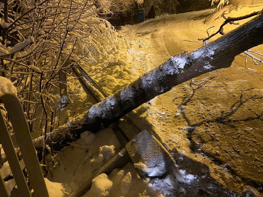 Ponad pół tysiąca odbiorców TAURONU w gminie Łącko bez prądu. Śnieg i powalone drzewa uszkodziły linie
