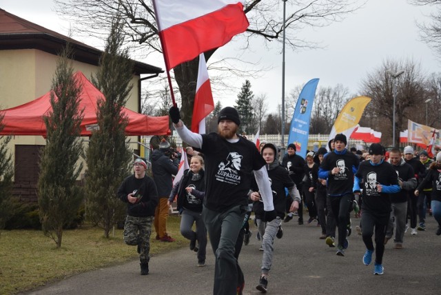 Bieg Tropem Wilczym w Świdnicy. Udział wzięło 431 biegaczy (ZDJĘCIA)