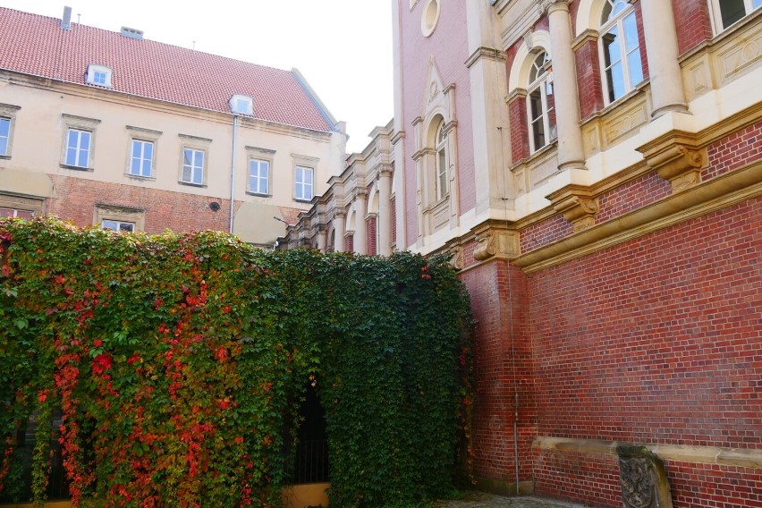 Legnica. Przed nami ostatni weekend sezonu turystycznego. Skorzystaj z ostatniej okazji i wejdź na wieżę widokową!