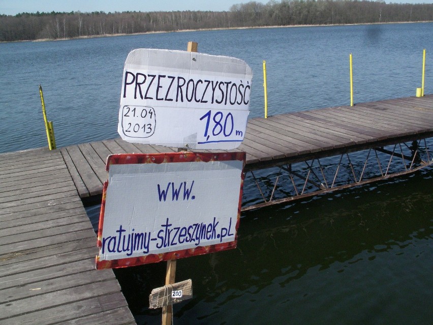 Jezioro Strzeszyńskie jest coraz bardziej zanieczyszczone