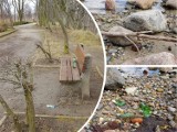 Brudny Puck, kwiecień 2018 młodzież na plaży i w parku, a szkło ląduje w Zatoce Puckiej i na piasku | ZDJĘCIA CZYTELNIKA