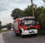 Nieodpowiedzialne zachowanie mieszkańców Gubina. Palili śmieci i wybuchł pożar. Interwencja straży pożarnej i policji