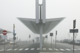 Poznań - Mgła sparaliżowała ruch na lotnisku Ławica [ZDJĘCIA]
