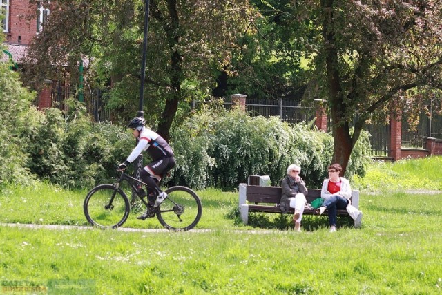 Park im. Sienkiewicza we Włocławku zostanie przebudowany na obszarze  od ul. Kardynała Wyszyńskiego do ul. Okrzei