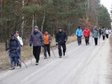 Wycieczka nordic walking przez Puszczę Zielonkę [ZDJĘCIA]