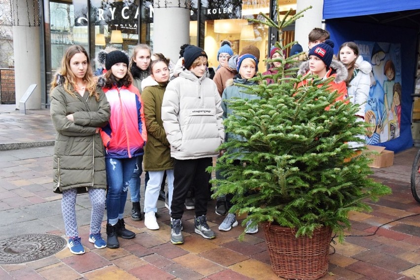 Choinki Nadziei 2018 w Bielsku-Białej: dzieci na rowerach rozświetliły drzewka [ZDJĘCIA]