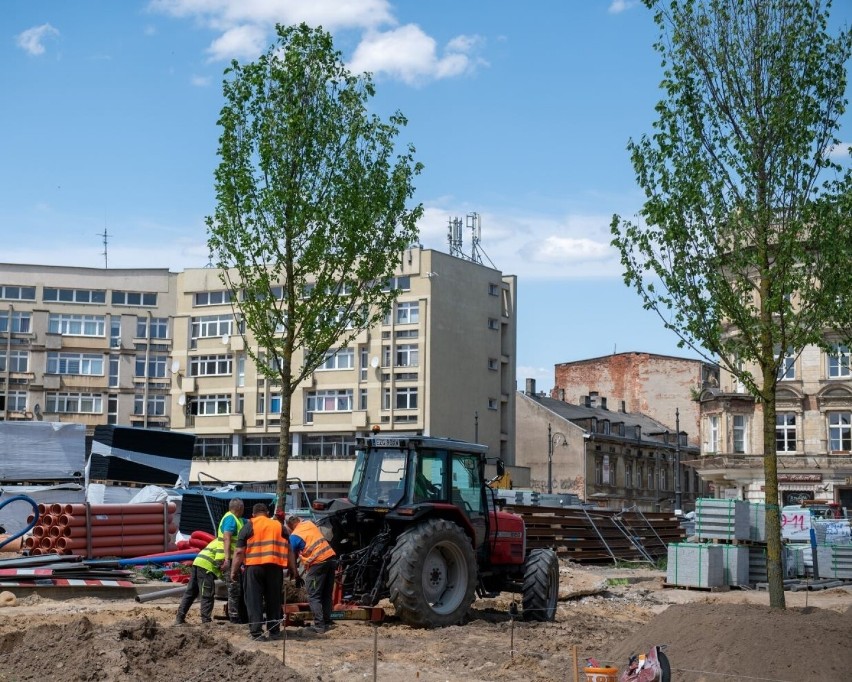 Przebudowa Placu Wolności w Łodzi. Będzie tu...zielono. Pojawiły się pierwsze drzewa. Zobaczcie zdjęcia