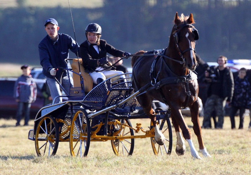 Hubertus Spalski 2011: Hubertus Jeździecki w obiektywie Dariusza Śmigielskiego