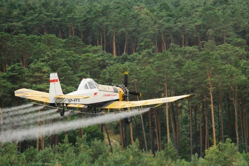 Opryski chemiczne będą prowadzone w lasach na terenie powiatu sieradzkiego - informuje Nadleśnictwo Złoczew. Kiedy? Gdzie? MAPY