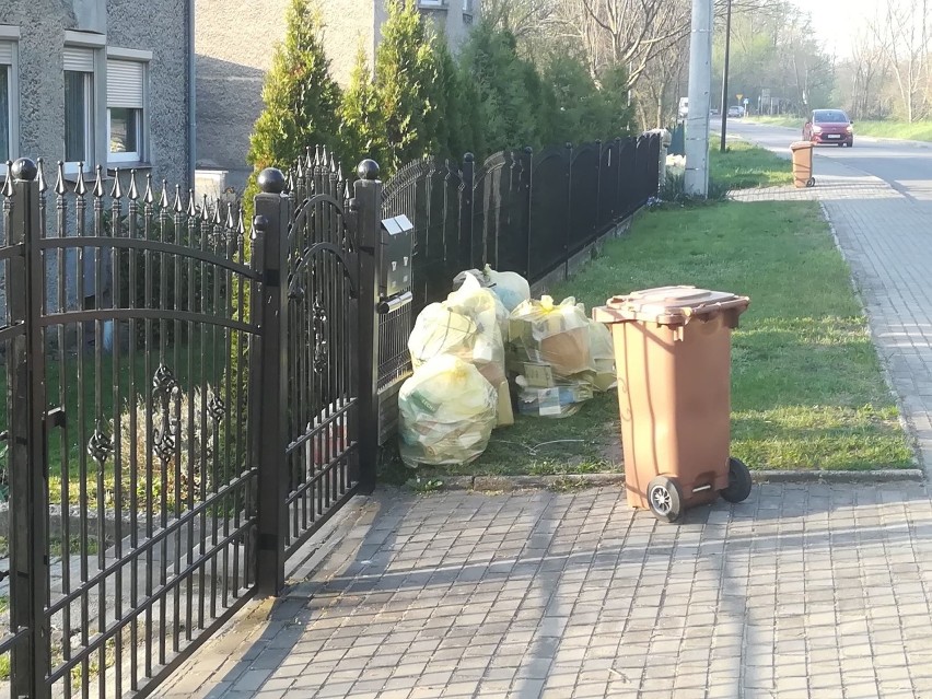 Fala śmieci zalała ulice Kędzierzyna-Koźla. "Czysty region" wznowił odbiór odpadów. Ale nie na wszystkich osiedlach stanie się to od razu