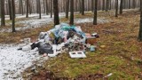 Kolejne sterty śmieci w zielonogórskich lasach. Tym razem ktoś podrzucił odpady obok sołectwa Zatonie