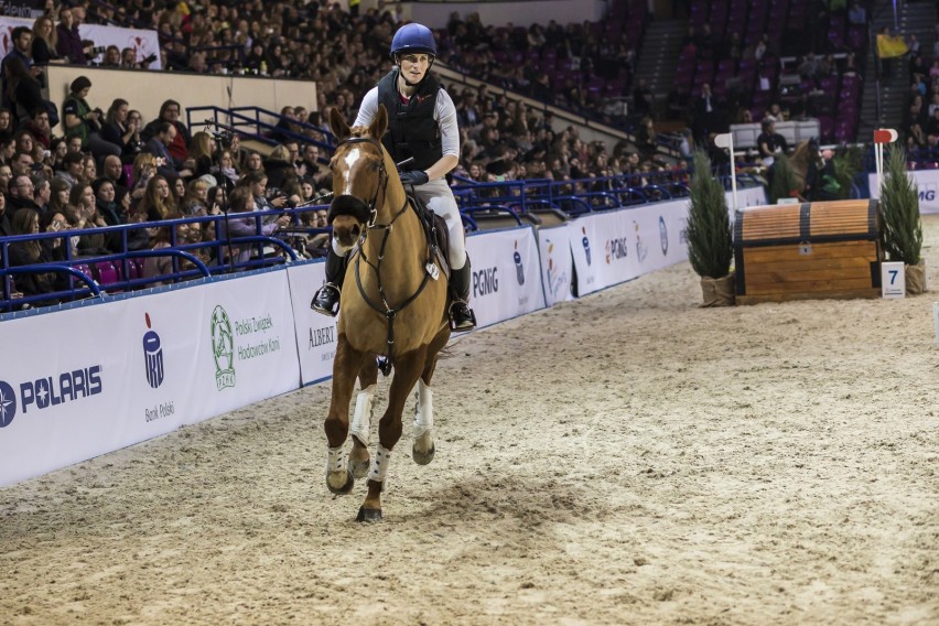 Cavaliada 2017, Warszawa. Najlepsi jeźdźcy i piękne konie...