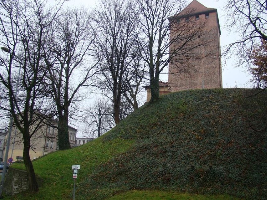 Oświęcim. Wzmocnią wzgórze, na którym stoi zamek