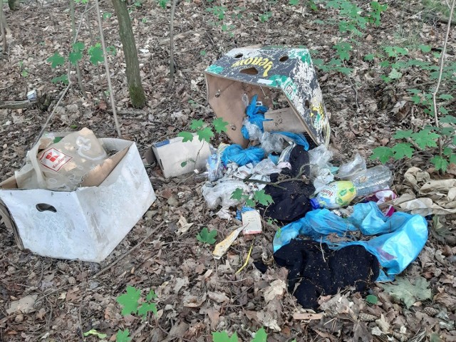 Takie śmieci znajduje nasz Czytelnik w Zielonym Lesie