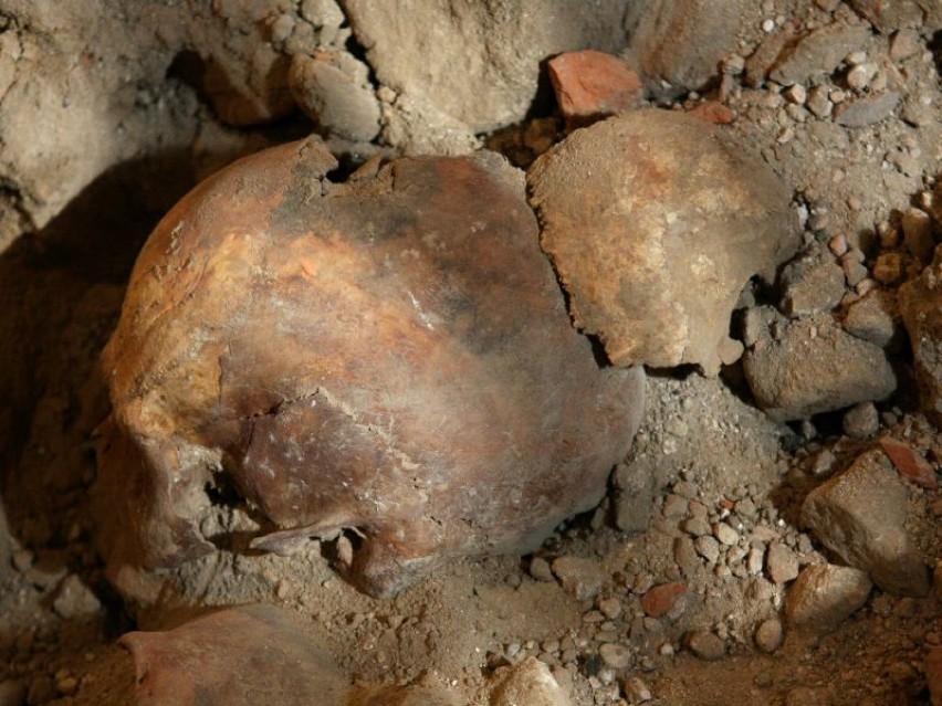 Kościół przy Narutowicza: Archeolodzy odkryl nowe krypty i pochówki