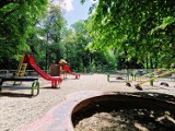 W Parku Miejskim w Kaliszu powstanie nowy plac zabaw