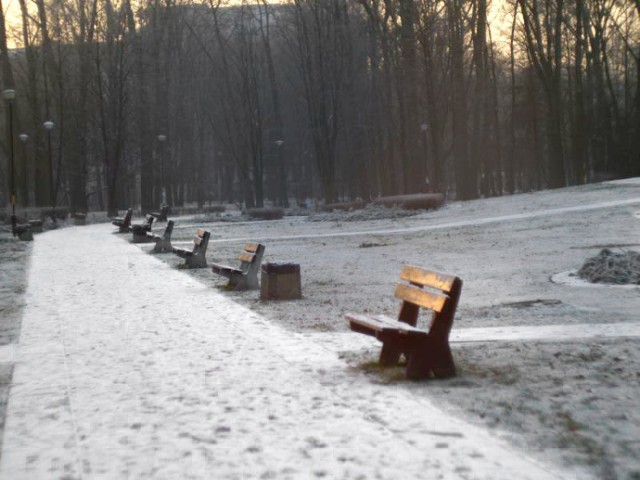 Pola Mokotowskie, pierwsza moja zimowa fotka i pierwsza na nowym obiektywie 50 mm. fot. Rafał Łapiński