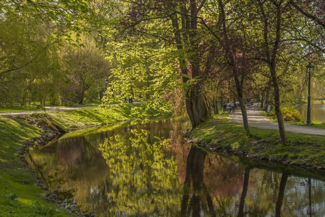 w koszalińskim parku