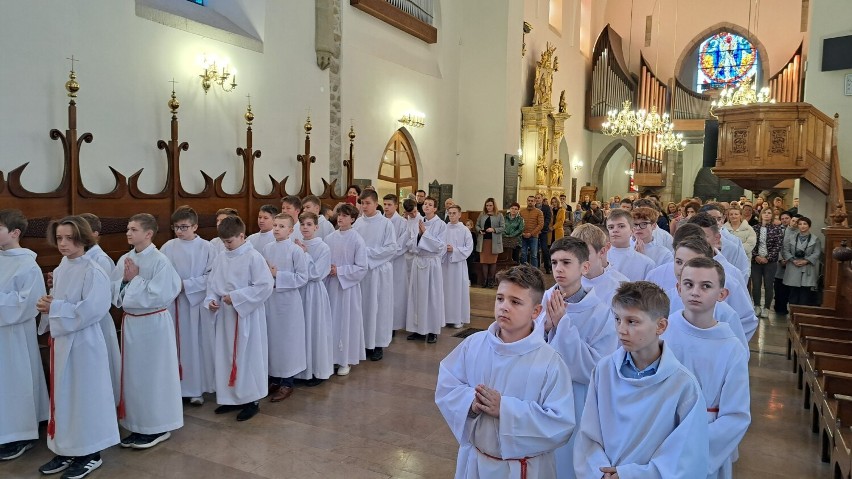 Ustanowienie lektorów z Nowego Sącza