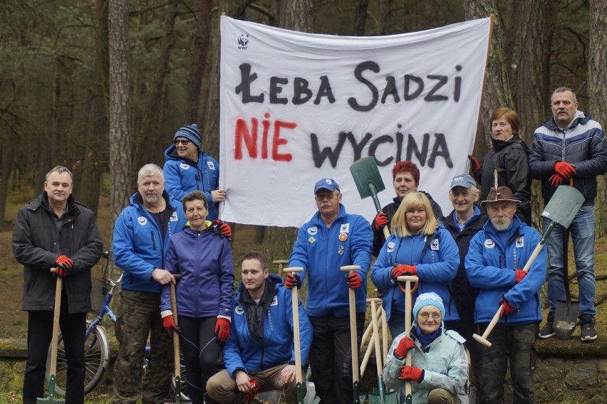 Łeba sadzi! Nie wycina!