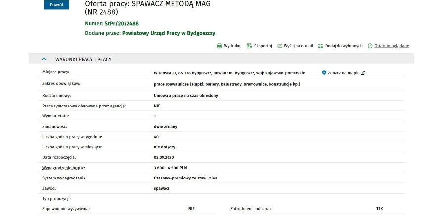 Praca w regionie! Sprawdź oferty powyżej 3 tysięcy złotych