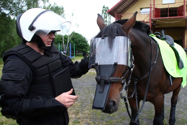 8 czerwca Szczeciński Oddział Policji Konnej wyjeżdża do ...