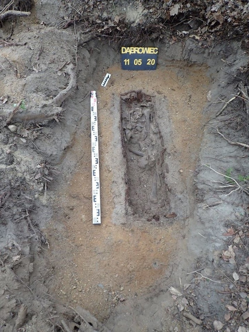 Mogiłę, w której pochowano szczątki niemieckiego żołnierza,...