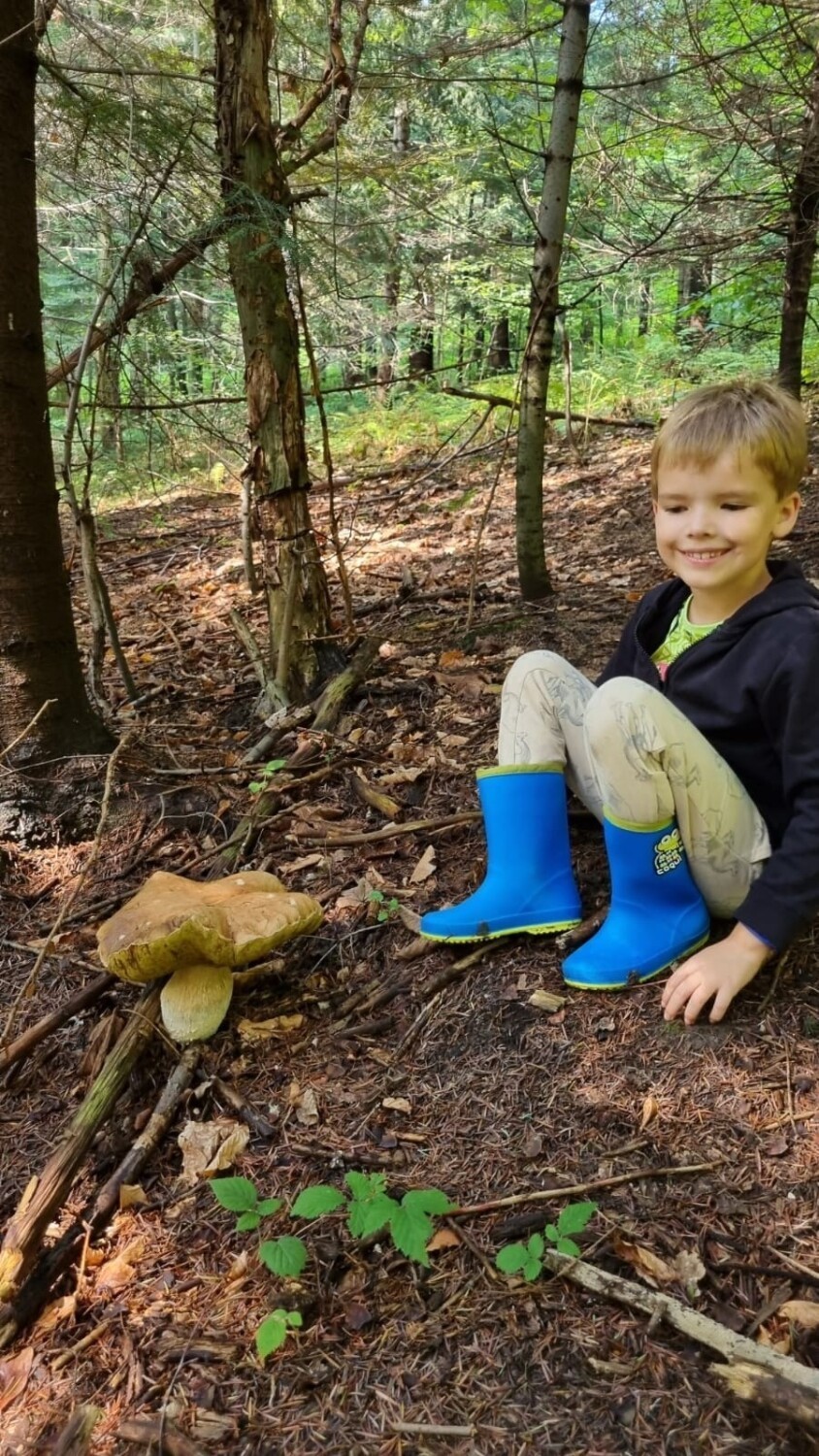 Bujne zbiory! Siedmiolatek znalazł gigantycznego grzyba. Ten borowik robi wrażenie! ZDJĘCIA