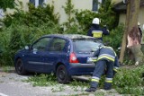 Wichura w Toruniu. Wiatr przewrócił drzewo na skrzyżowaniu Odrodzenia z Czerwoną Drogą [NOWE ZDJĘCIA aktl.]