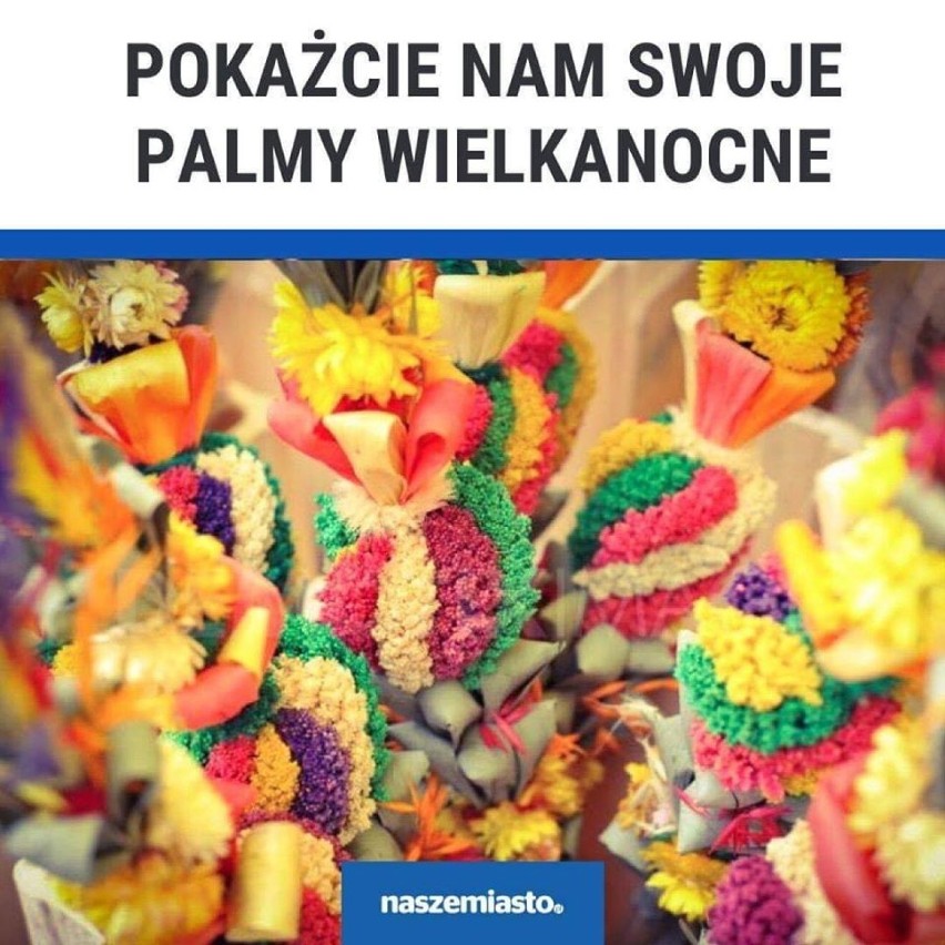 Kwidzyn. Niedziela Palmowa - zobaczcie palmy przygotowane przez naszych Czytelników [ZDJĘCIA]