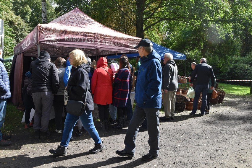 Zainteresowaniem cieszą się nie tylko ogrodnicze stoiska