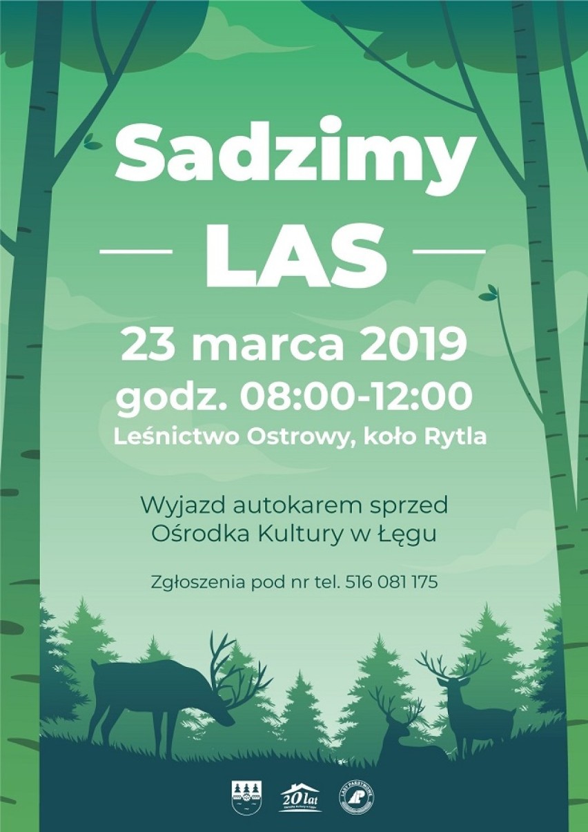 Gmina Czersk. Będą sadzić las - już jutro każdy może dołączyć do odnowy lasów po nawałnicy