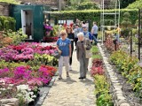 Dalków zaprasza na niedzielny Festiwal Kwitnących Azalii i Rododendronów 2024. Z Głogowa pojadą dwa bezpłatne autobusy
