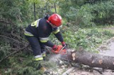 Podhale: Pod Tatrami szaleje Halny. Powalone drzewa tarasują drogę