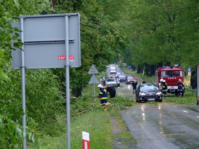 Trasa nr 14 i strażacy usuwający przewrócone drzewa.  Fot. Piotr Andrzejak